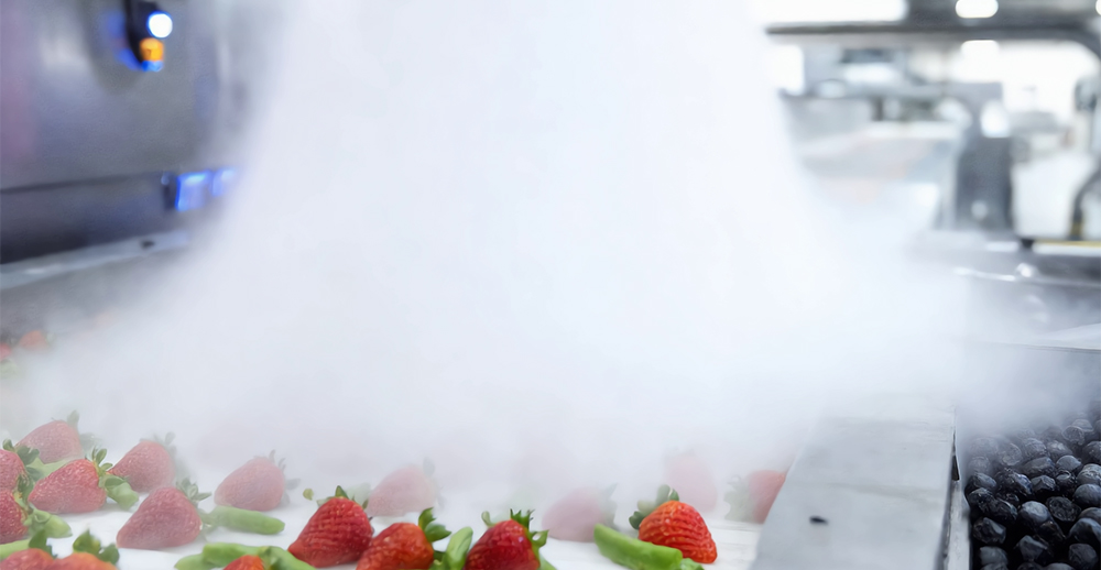Alimentation et boissons